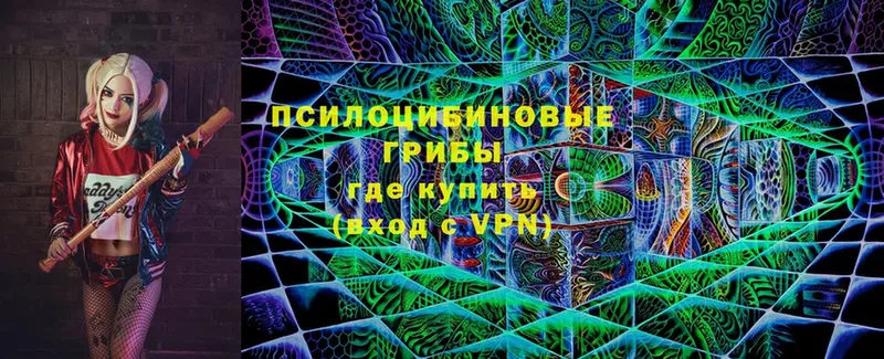 Псилоцибиновые грибы ЛСД  Ужур 